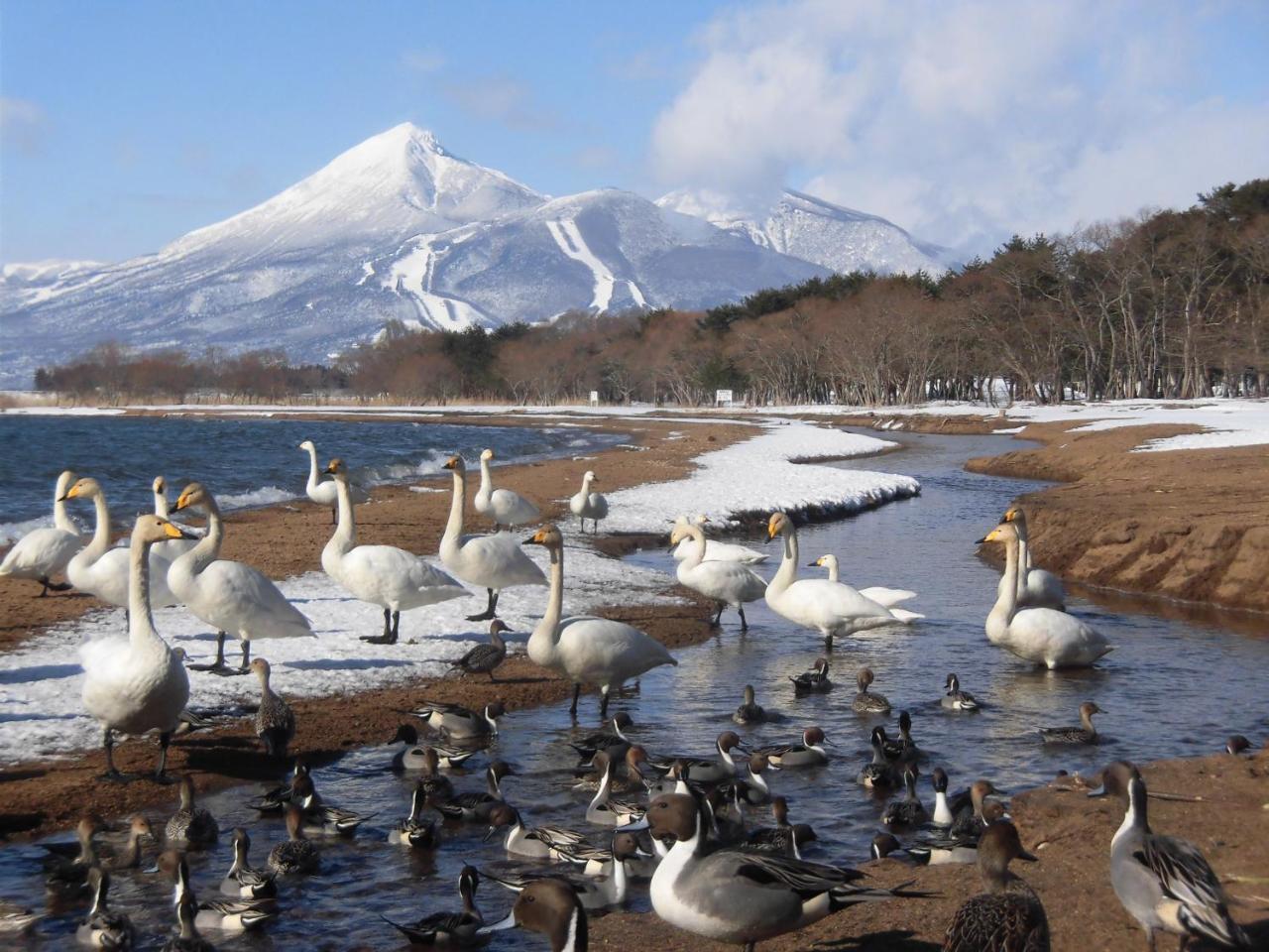 ホテルLakeside Banko 猪苗代町 エクステリア 写真